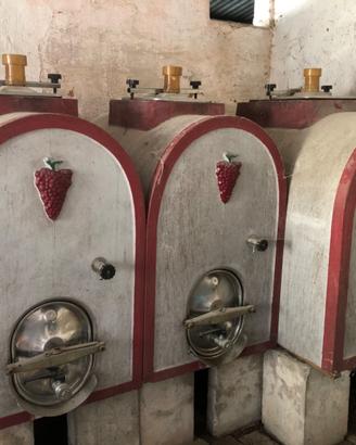 Botti in cemento per vino