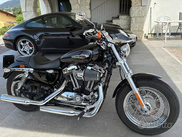 Harley-davidson 1200 Custom sposter costum
