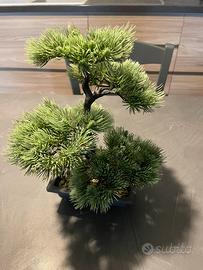Bonsai finto