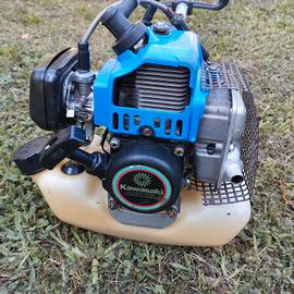 decespugliatore Kawasaki tg24