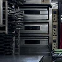 forno elettrico professionale