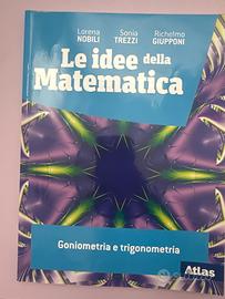 Libro le idee della matematica