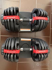 Manubri regolabili Kingsgym + panca Corength Fold