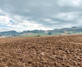 Terreno agricolo panoramico