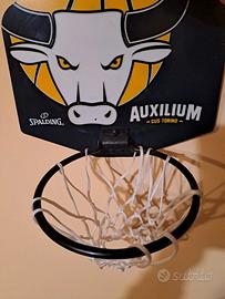 Mini canestro Auxilium basket Torino