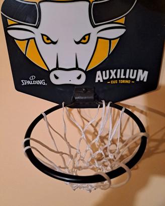 Mini canestro Auxilium basket Torino