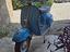 Immagine 1