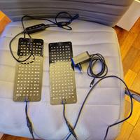 Led fitostimolanti barrina