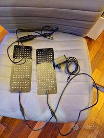 Led fitostimolanti barrina