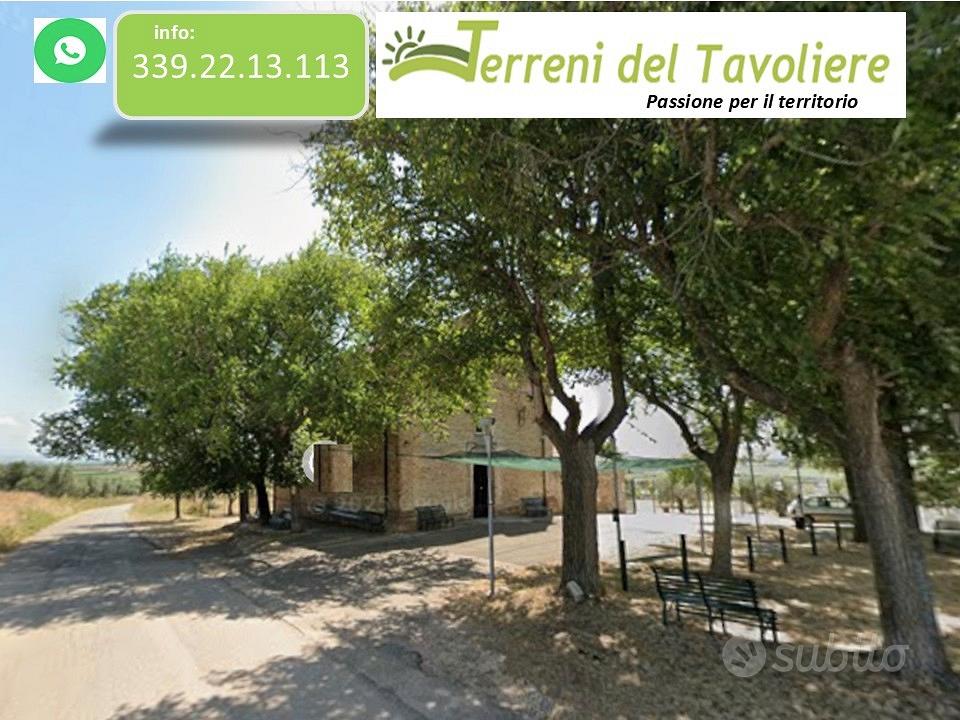 Vigneto 2 Ettari in Produzione + Uliveto San Paolo - Vista 5