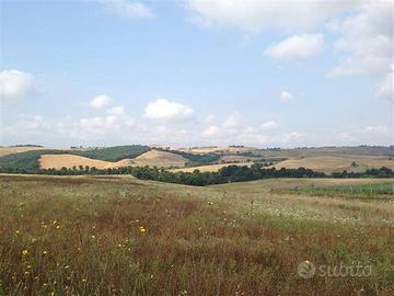 Terreno di 42340 m² a Tuscania