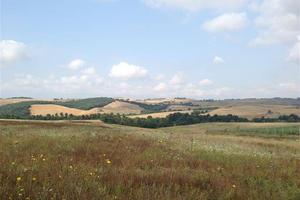 Terreno di 42340 m² a Tuscania