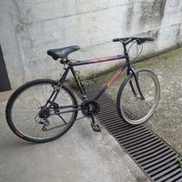 Bici Atala Bird Uomo/Donna 