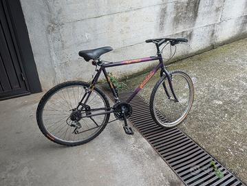 Bici Atala Bird Uomo/Donna 