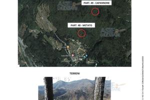 Terreno Agricolo Abetone Cutigliano [A4325053]