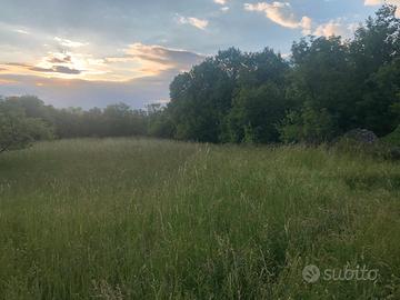 Borgo grotta adiacenze avalon