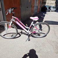 Bicicletta 26 - Domma