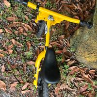 Bicicletta senza pedali bambino