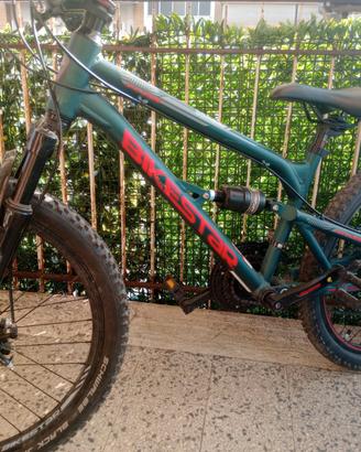 Mountain Bike Sospensione Completa 24 POLLICI