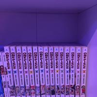 Manga one piece