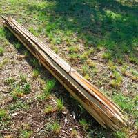 Pali per giardino, orto e vigneto