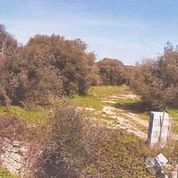 Terreno edificabile zona C (espansione)