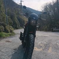 Benelli Leoncino 500 Trail 08/2019