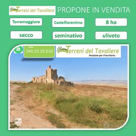 Terreno Torremaggiore, località Castelfiorentino