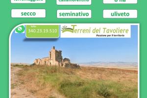 Terreno Torremaggiore, località Castelfiorentino