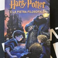 Libro harry potter salani 2022 jonny duddle