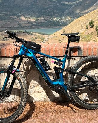 Bergamont E-Trailster Pro
