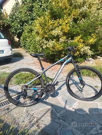 bici 20