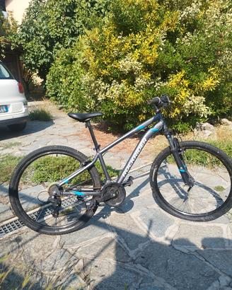 bici 20