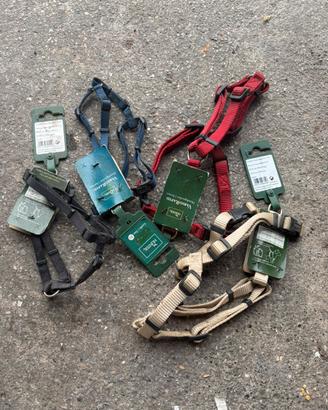 Pettorine regolabili Hunter