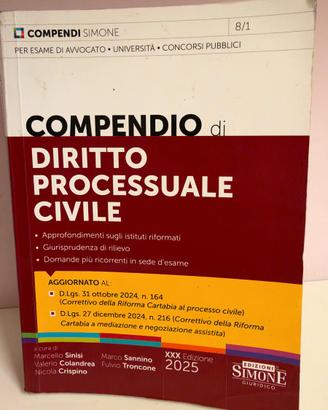 Compendio di Diritto Processuale Civile – Simone