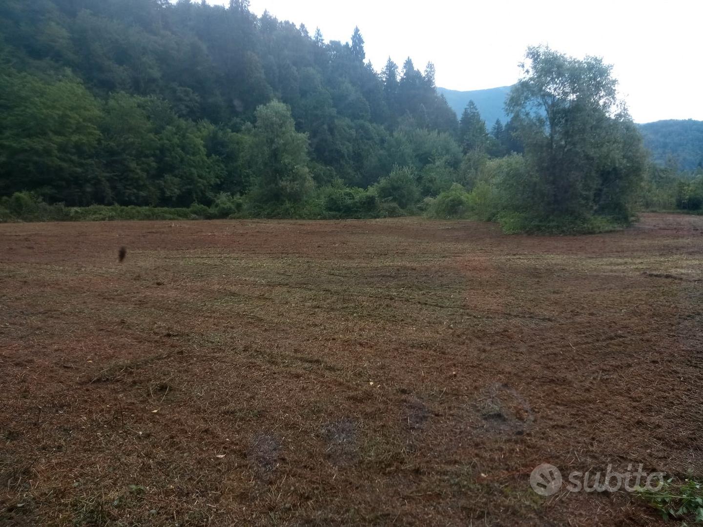 Terreno agricolo Raveo Carnia - Vista 5