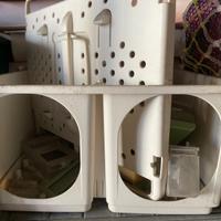 Trasportino per inseparabili e cocorite