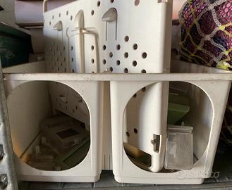 Trasportino per inseparabili e cocorite