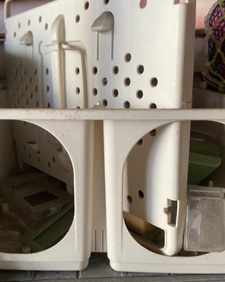 Trasportino per inseparabili e cocorite