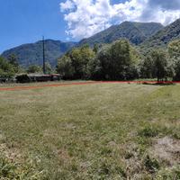 Terreni agricoli per orto o legna Gravellona
