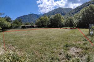 Terreni agricoli per orto o legna Gravellona