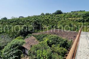 Terreno con fabbricati a Giarre