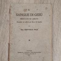 Il Sangue di GESU' meditato ed amato Sac. Raffaele