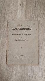 Il Sangue di GESU' meditato ed amato Sac. Raffaele