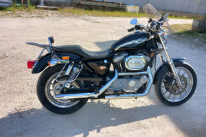 Harley davidson 100th