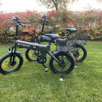 Bicicletta elettrica Engwe C20 Pro
