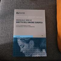 Manuale breve diritto dell'Unione europea.