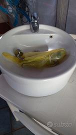 lavabo tondo con miscelatore compreso.