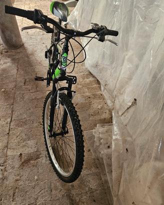 Bicicletta 