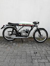 malanca testa rossa